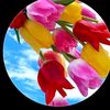 user59976141012072