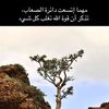 user6056072403810