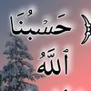 usaf.alm2