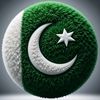 saeed.babar22