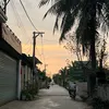 nhinguyen_235