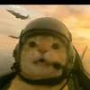 cyri1_millanar