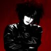 mrsandman049