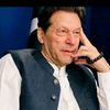 malik.ali8011