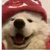 skibdiiskrr