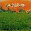 fahad_mayo_02