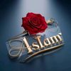 aslam.as186