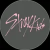 straykids_no.1_fan