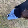 lilyan.se