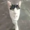 thanhdepchaivcll