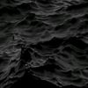 abid.abidov