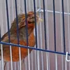 alf.alf_