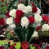 mohamod.ruhul