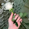 0in_09