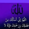 user27319811631254