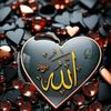 wael44060