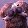 seaotter2468