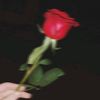 omnia_el_shershamy