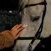 ull_7j