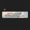 user8240158681117