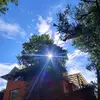 moshimoshito.com