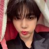 .insomin1a_