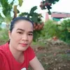 ly.yn63