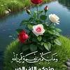 shamat1331