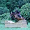 hayhay0446