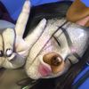 aly_23220
