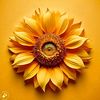 sunainamughal37