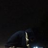 tyl25447