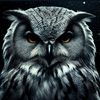 phoenixking182
