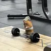 brybry670
