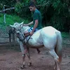marcosdeivid03