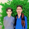 shahmuradjattak0