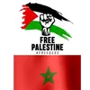 freepalestine20276