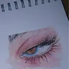 arar.a3