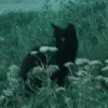 lmlmltj