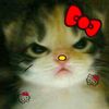 dianeiwq