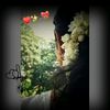 sandiya.r4