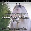 sevda5816