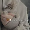 sh_had84
