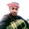 alim2_and