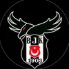 forza.eagle_bjk