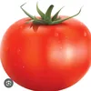 pomidorka_27