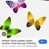 irmak4550