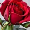 ashiq..bin.mohsin