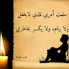 user8381224281801