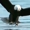 abdullah_mohammed40